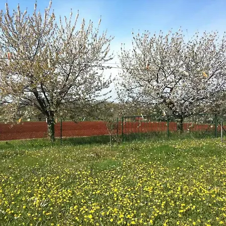 Two Bedroom With Terrace And Garden Apartamento *