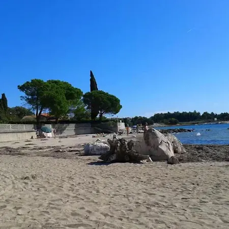 Two Bedroom With Terrace And Garden Apartamento